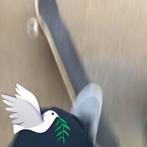 Meet your Posher, Bryce